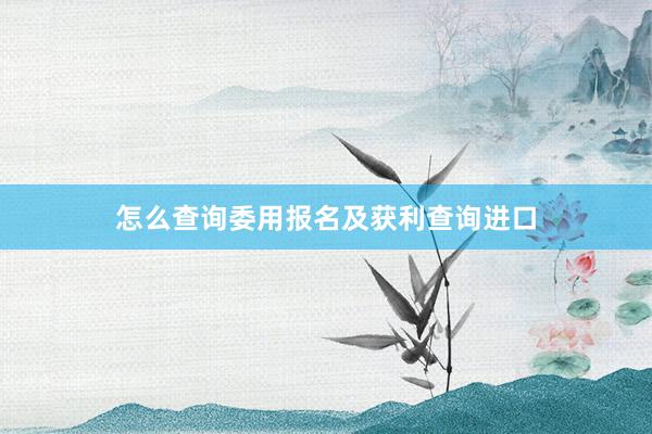 怎么查询委用报名及获利查询进口
