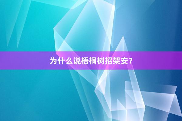 为什么说梧桐树招架安？