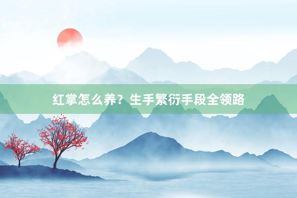 红掌怎么养？生手繁衍手段全领路